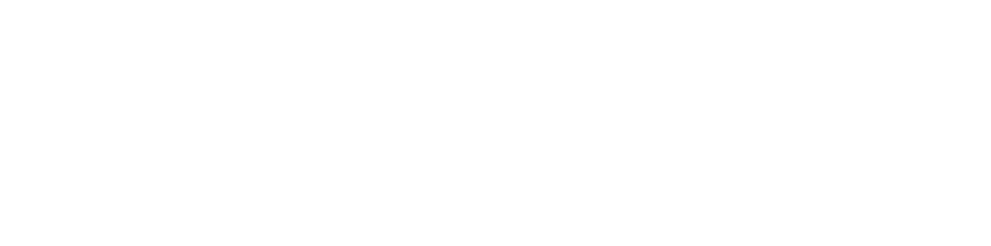FSG Global